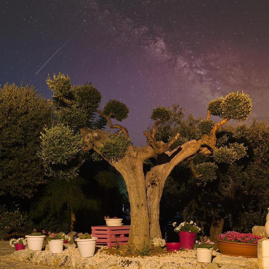 Villa Dei Fiori Locorotondo Zewnętrze zdjęcie